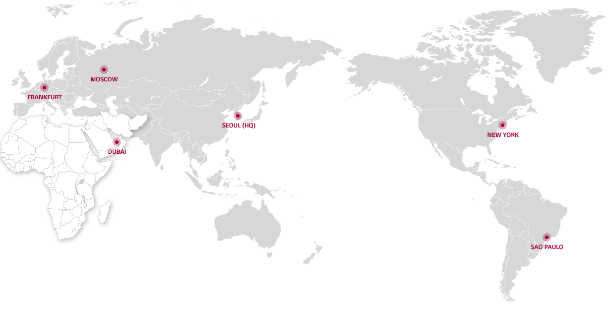 Global Network:middle east&africa(Dubai)