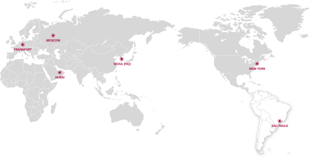 Global Network:latin america(Sao paulo)