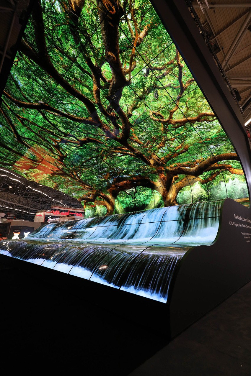 A front view of the LG OLED Falls display.